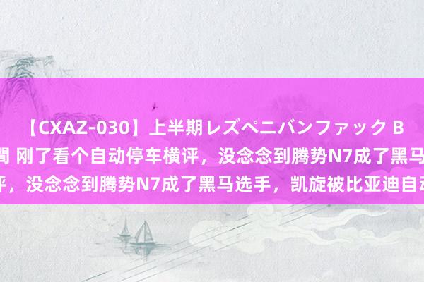 【CXAZ-030】上半期レズペニバンファック BEST10 10組20名 4時間 刚了看个自动停车横评，没念念到腾势N7成了黑马选手，凯旋被比亚迪自动泊