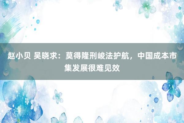 赵小贝 吴晓求：莫得隆刑峻法护航，中国成本市集发展很难见效