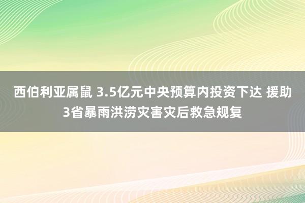 西伯利亚属鼠 3.5亿元中央预算内投资下达 援助3省暴雨洪涝灾害灾后救急规复