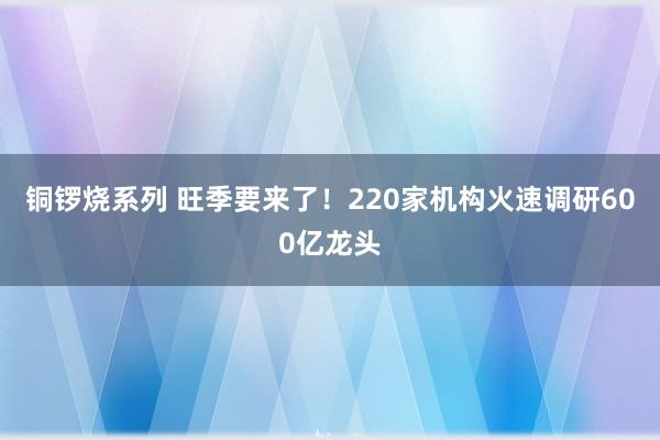 铜锣烧系列 旺季要来了！220家机构火速调研600亿龙头