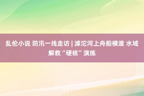 乱伦小说 防汛一线走访 | 滹沱河上舟船横渡 水域解救“硬核”演练