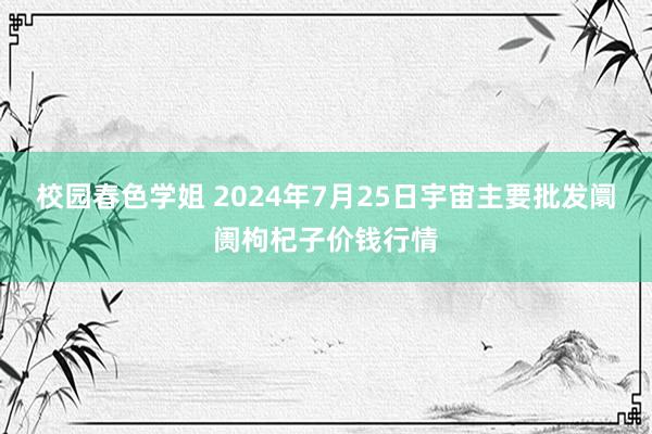 校园春色学姐 2024年7月25日宇宙主要批发阛阓枸杞子价钱行情