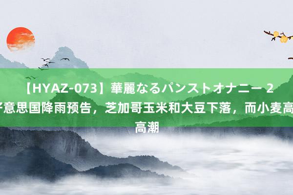 【HYAZ-073】華麗なるパンストオナニー 2 好意思国降雨预告，芝加哥玉米和大豆下落，而小麦高潮