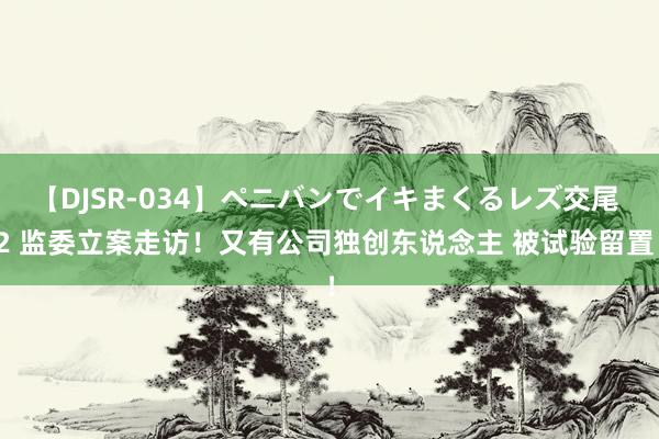 【DJSR-034】ペニバンでイキまくるレズ交尾 2 监委立案走访！又有公司独创东说念主 被试验留置！