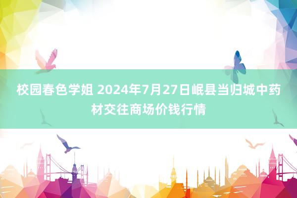 校园春色学姐 2024年7月27日岷县当归城中药材交往商场价钱行情