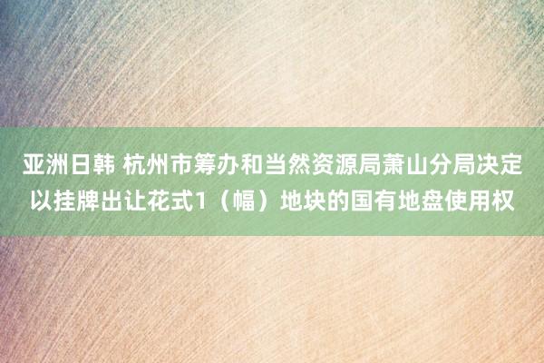 亚洲日韩 杭州市筹办和当然资源局萧山分局决定以挂牌出让花式1（幅）地块的国有地盘使用权