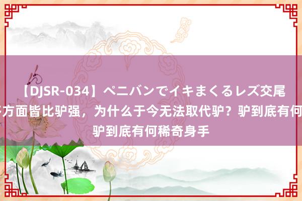 【DJSR-034】ペニバンでイキまくるレズ交尾 2 马好多方面皆比驴强，为什么于今无法取代驴？驴到底有何稀奇身手