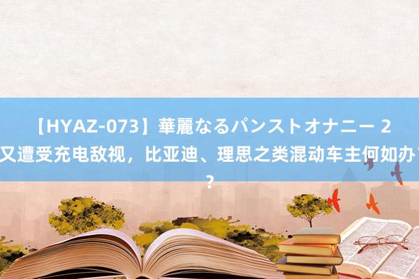 【HYAZ-073】華麗なるパンストオナニー 2 又遭受充电敌视，比亚迪、理思之类混动车主何如办？