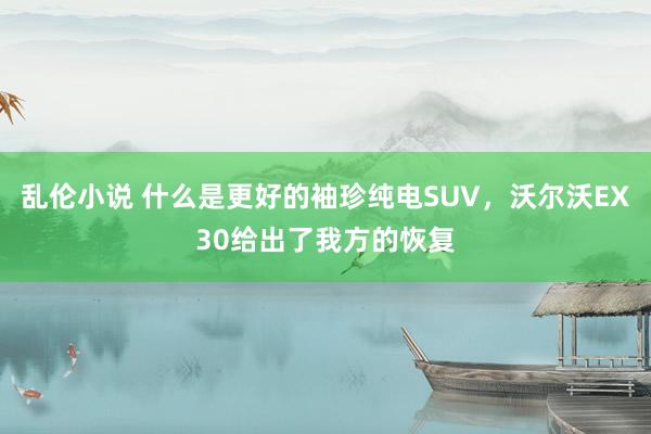 乱伦小说 什么是更好的袖珍纯电SUV，沃尔沃EX30给出了我方的恢复