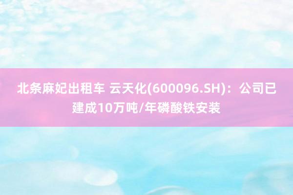 北条麻妃出租车 云天化(600096.SH)：公司已建成10万吨/年磷酸铁安装