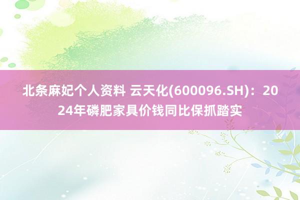 北条麻妃个人资料 云天化(600096.SH)：2024年磷肥家具价钱同比保抓踏实