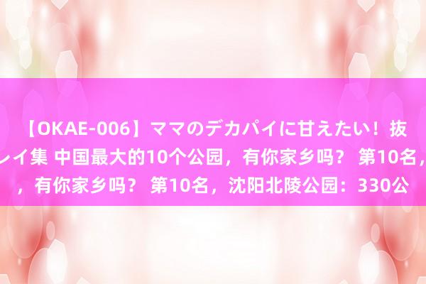 【OKAE-006】ママのデカパイに甘えたい！抜かれたい！オッパイプレイ集 中国最大的10个公园，有你家乡吗？ 第10名，沈阳北陵公园：330公