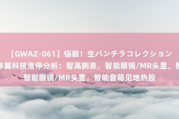 【GWAZ-061】悩殺！生パンチラコレクション 4時間 8月16日卓翼科技涨停分析：智高腕表，智能眼镜/MR头显，智能音箱见地热股