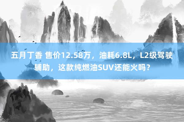 五月丁香 售价12.58万，油耗6.8L，L2级驾驶辅助，这款纯燃油SUV还能火吗？