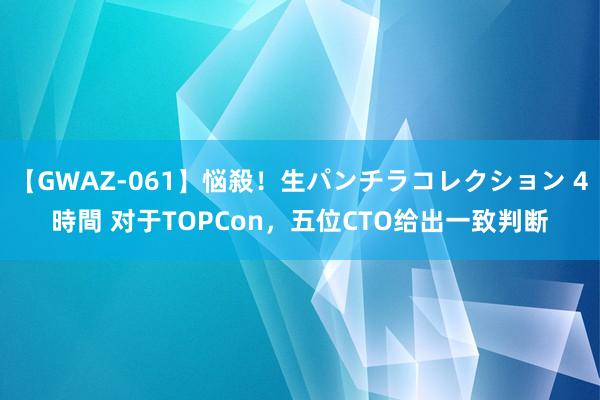 【GWAZ-061】悩殺！生パンチラコレクション 4時間 对于TOPCon，五位CTO给出一致判断