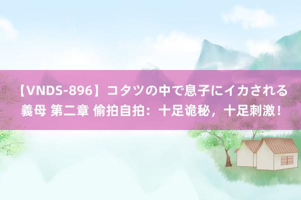 【VNDS-896】コタツの中で息子にイカされる義母 第二章 偷拍自拍：十足诡秘，十足刺激！