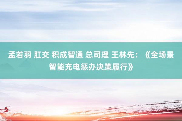 孟若羽 肛交 积成智通 总司理 王林先：《全场景智能充电惩办决策履行》