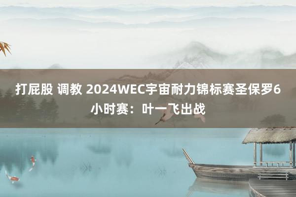 打屁股 调教 2024WEC宇宙耐力锦标赛圣保罗6小时赛：叶一飞出战