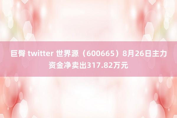 巨臀 twitter 世界源（600665）8月26日主力资金净卖出317.82万元