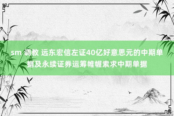 sm 调教 远东宏信左证40亿好意思元的中期单据及永续证券运筹帷幄索求中期单据