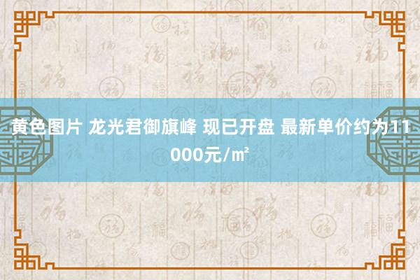 黄色图片 龙光君御旗峰 现已开盘 最新单价约为11000元/㎡