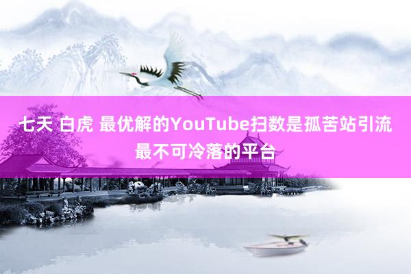 七天 白虎 最优解的YouTube扫数是孤苦站引流最不可冷落的平台