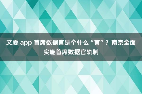 文爱 app 首席数据官是个什么“官”？南京全面实施首席数据官轨制