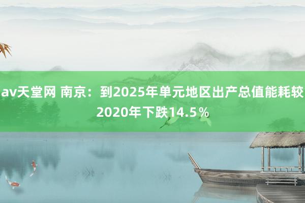 av天堂网 南京：到2025年单元地区出产总值能耗较2020年下跌14.5％