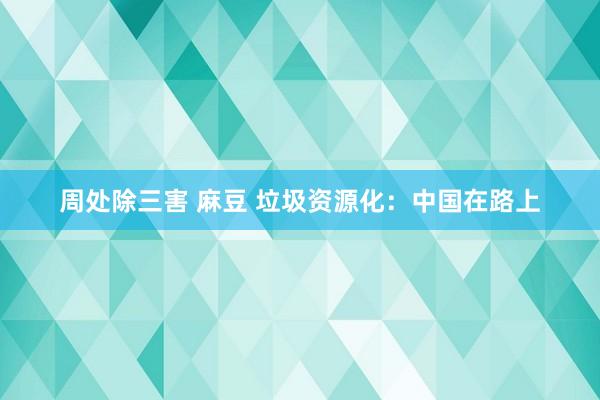 周处除三害 麻豆 垃圾资源化：中国在路上