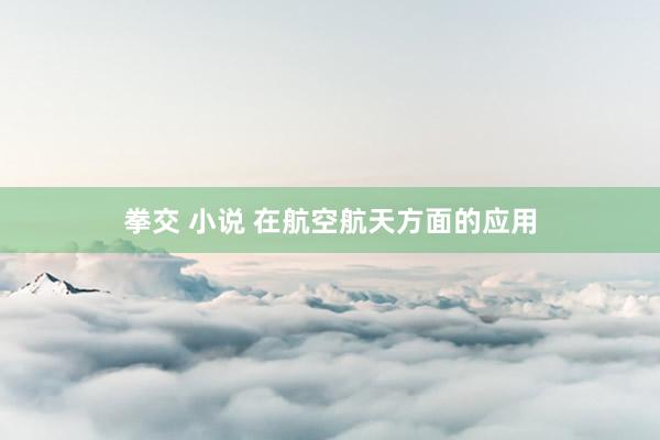 拳交 小说 在航空航天方面的应用